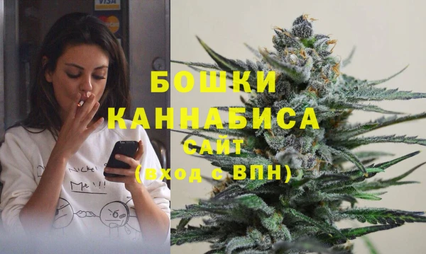 a pvp Бородино