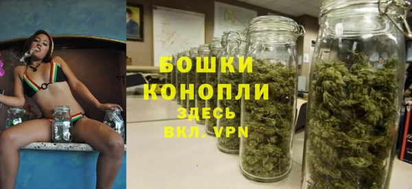 сатива Майский