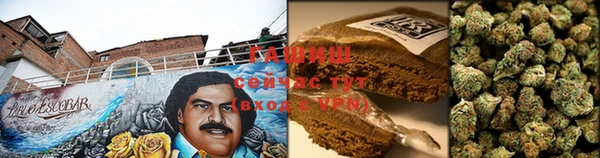 ПСИЛОЦИБИНОВЫЕ ГРИБЫ Магас