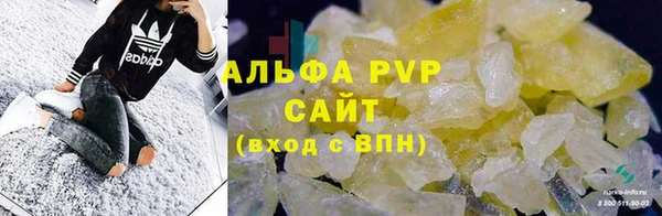 гидра Мурманск