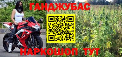 гашик Гусь-Хрустальный