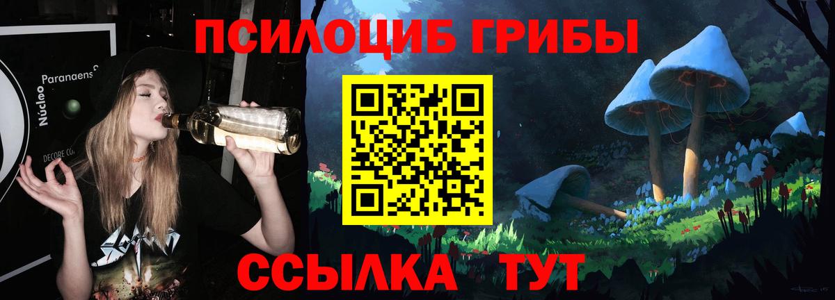 Елабуга  Псилоцибиновые грибы Magic Shrooms  Вход с VPN  Псилоцибиновые грибы Cubensis 