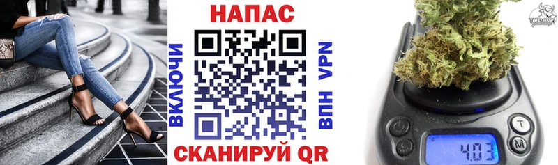 Бошки марихуана ГИДРОПОН  Елабуга 